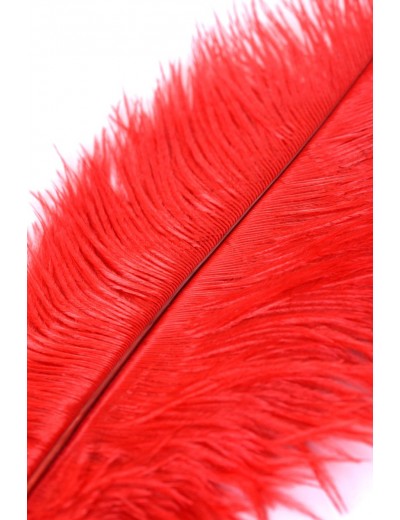 Красное страусиное пёрышко - 40 см.