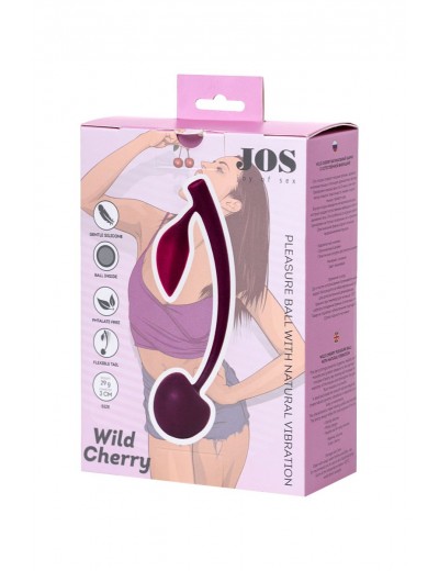 Бордовая вагинальная вишенка WILD CHERRY - 13 см.