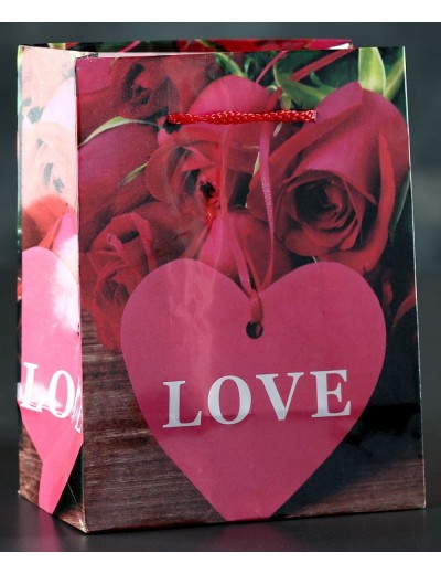 Подарочный пакет Love с розочками и сердечками - 15 х 12 см.