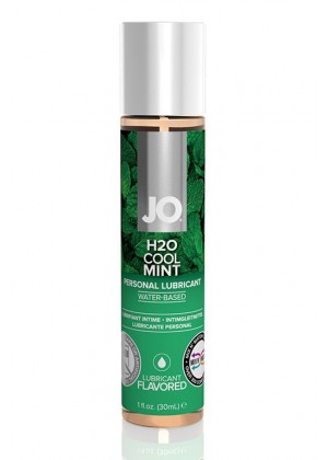 Лубрикант на водной основе с ароматом мяты JO Flavored Cool Mint - 30 мл.