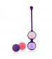 Фиолетовая оболочка с 4 сменными шариками Pussy Playballs